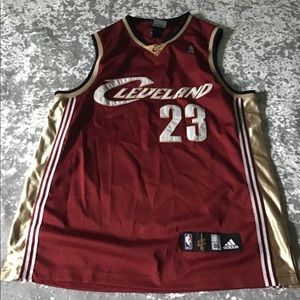 Lebron James Cleveland Cavaliers Rookie Jersey